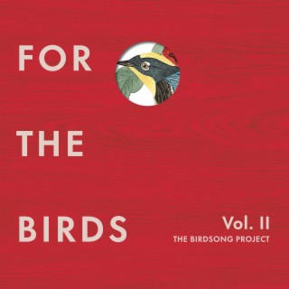 For the Birds: The Birdsong Project, Vol. II