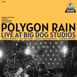 Live At Big Dog Studios