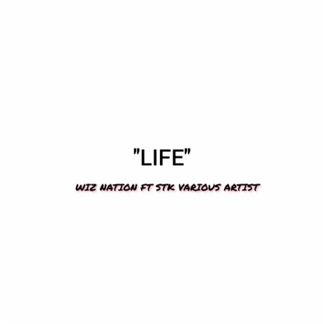 Life (feat. STK Various Artists)
