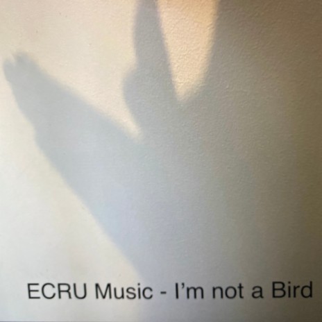 I'm not a Bird (Demo)