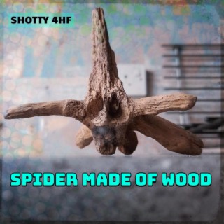 Spider Made Of Wood