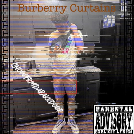 Burberry Curtains