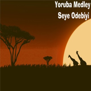 Seye Odebiyi