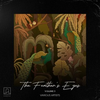 The Feathers' Eyes Vol.3