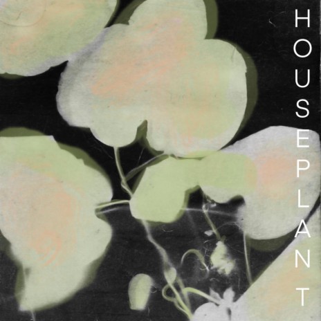 houseplant ft. Melting Resonance | Boomplay Music