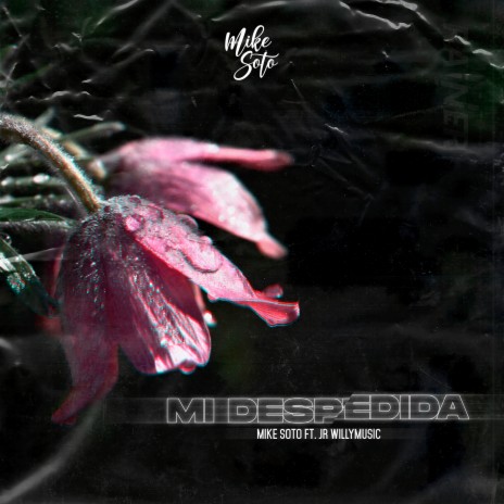 Mi Despedida ft. Jr. WilliMusic | Boomplay Music