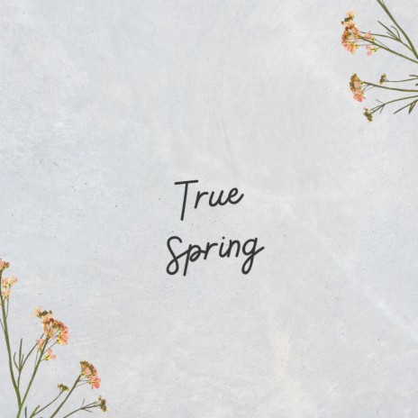 True Spring | Boomplay Music