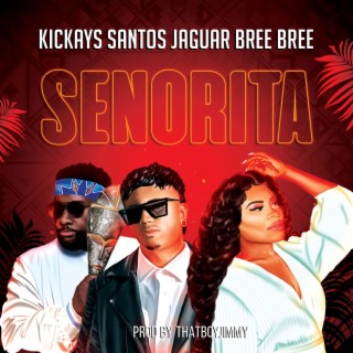 Señorita ft. Bree Bree & Santos Jaguar lyrics | Boomplay Music