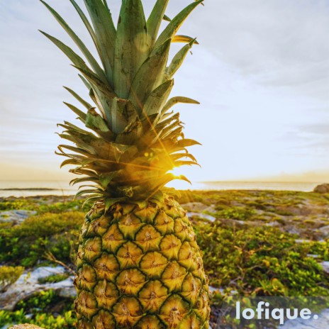 Pineapple Paradise | Boomplay Music