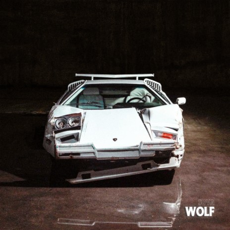 Wolf | Boomplay Music