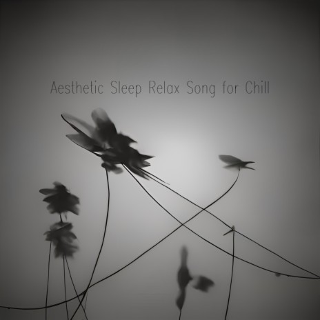 Aesthetic Sleep Relax Song for Chill | Boomplay Music