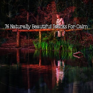 76 Naturally Beautiful Tracks For Calm