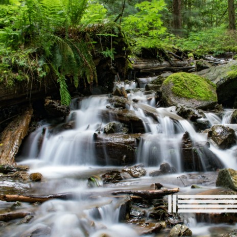 Stream ft. Waterfall Sounds Reserve & Sounds of Nature Zone | Boomplay Music