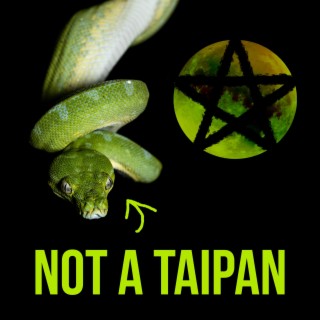 Not a taipan