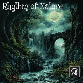 Rhythm of Nature (Radio Edit)