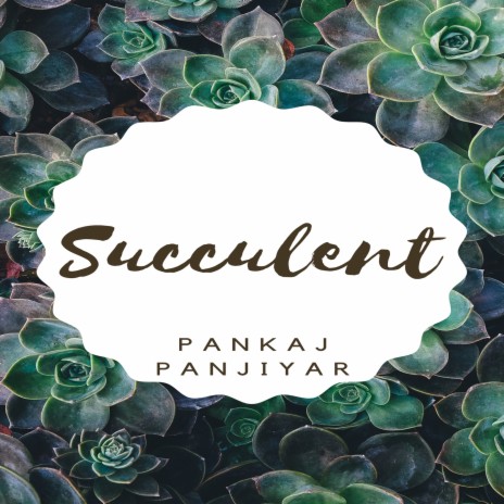 Succulent | Boomplay Music