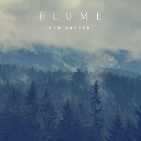 Flume | Boomplay Music