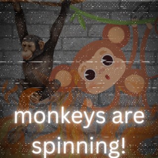 The Monkeys are SPINNING!
