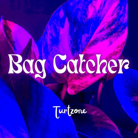 Bag Catcher (Chill Mix) | Boomplay Music