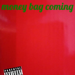 money bag coming