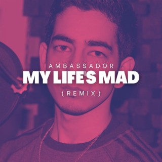 My Life's Mad (Remix)