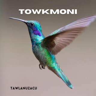 towkmoni