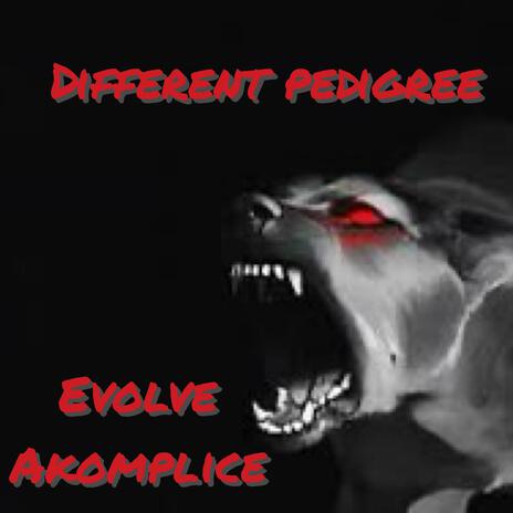 Different Pedigree ft. Evolve | Boomplay Music