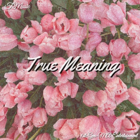 True Meaning | Boomplay Music