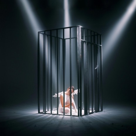 Bird in a Cage | Boomplay Music