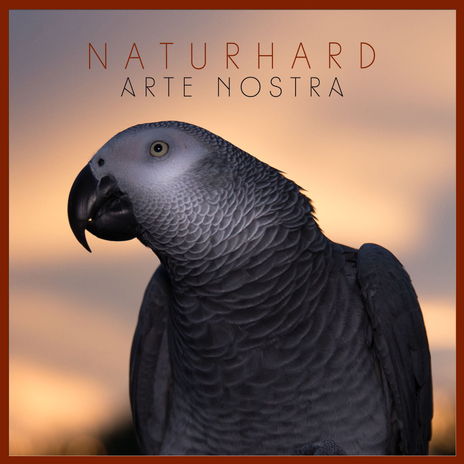 Naturhard | Boomplay Music