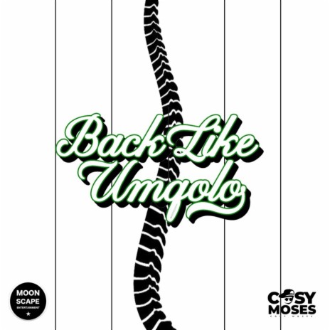 Back Like Umqolo | Boomplay Music