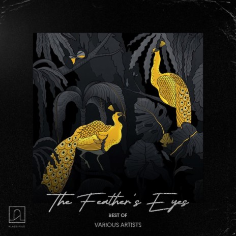 The Feathers' Dance | Boomplay Music