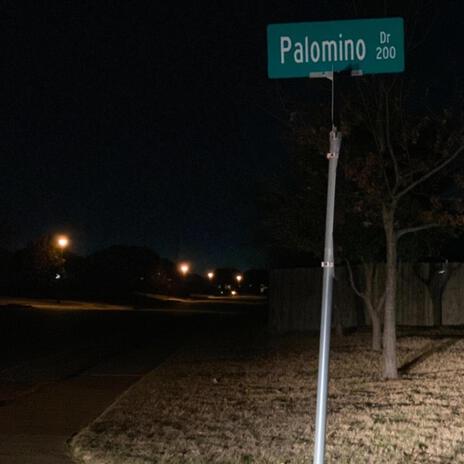 Palomino Dr | Boomplay Music