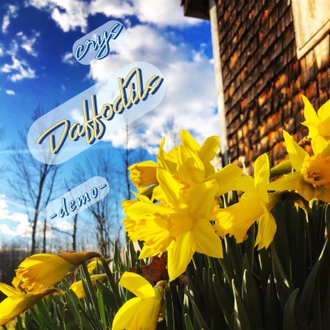 Daffodils ((Demo)) | Boomplay Music