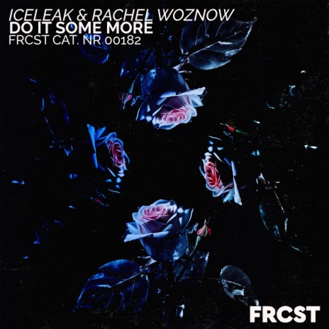 Do It Some More (Extended) ft. Rachel Woznow