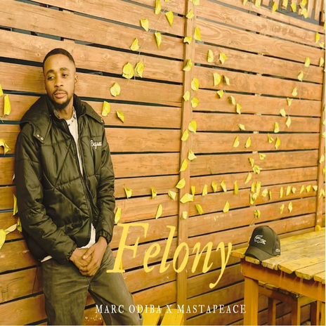 FELONY | Boomplay Music