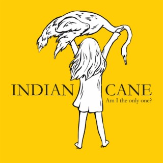 Indian Cane