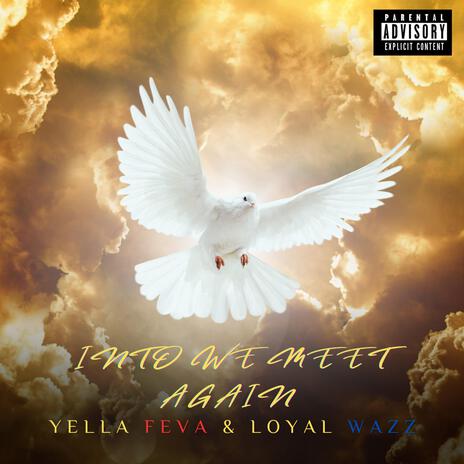 CURRY ft. YELLA FEVA | Boomplay Music