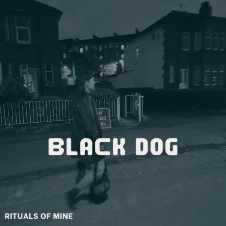 Black Dog | Boomplay Music