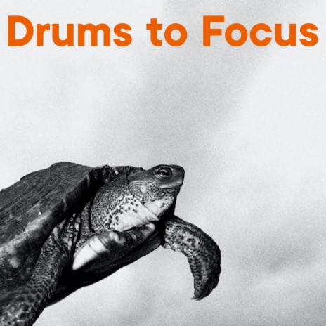 Drums to Focus | Boomplay Music