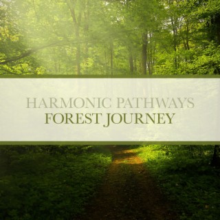 Forest Journey