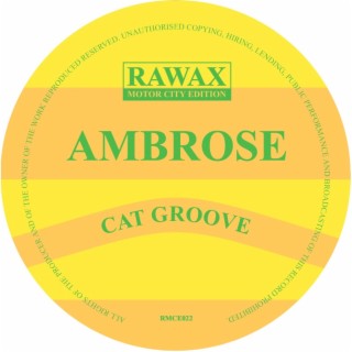 Cat Groove