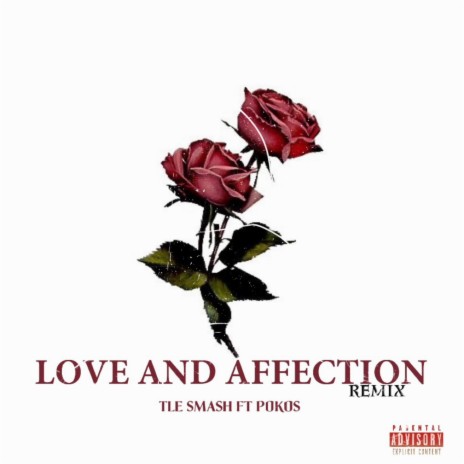 Love and Affection (Remixed version) ft. TLE Smash | Boomplay Music