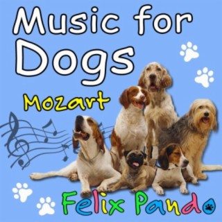 Music for Dogs Mozart
