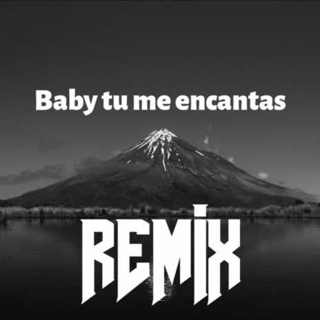 Baby Tu Me Encantas (Remix) ft. Kassol, Renán Díaz, RicardoMusicEc, Lil magic 21 & Diego Villacis DVM | Boomplay Music