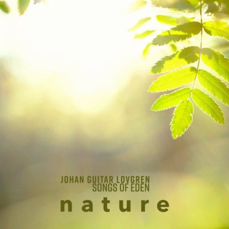 Nature ft. JohanGuitarLofgren | Boomplay Music