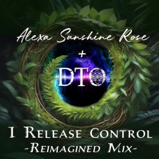 I Release Control (DTO Reimagined Mix)