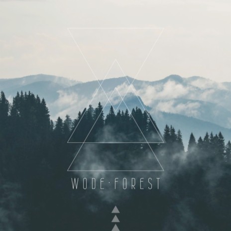 Wode Forest | Boomplay Music