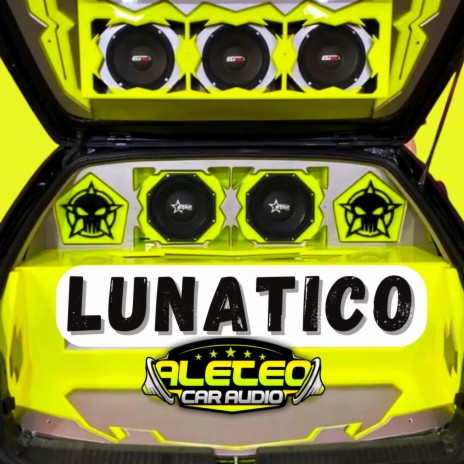 Lunatico Car Audio