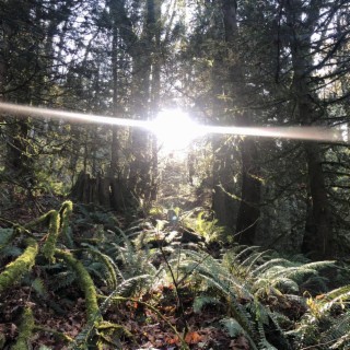 Flying Over Nanaimo